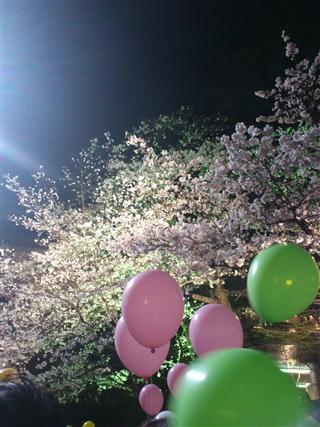 夜桜バルーン_R.jpg